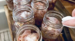 How to Pressure Can Rooster Meat- Step by Step - Our Home & Heritage