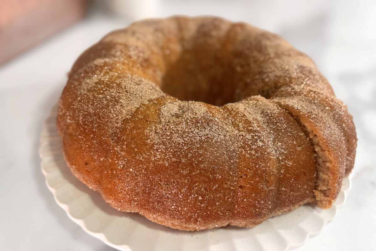 Best Sourdough Apple Cider Donut Cake (Easy, From Scratch)