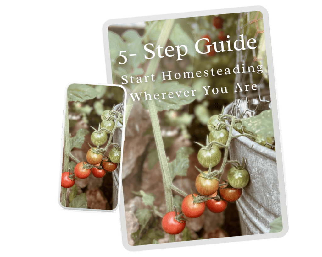 5 step guide to start homesteading