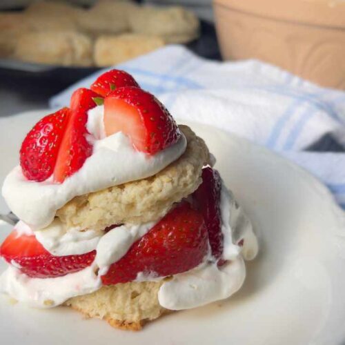 strawberry shortcake assembled on plate